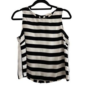 Lush Clothing Black and White Striped Sheer Sleeveless Top